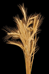 Similar image 1566014