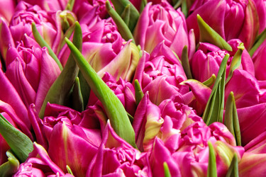 Similar image 1566018