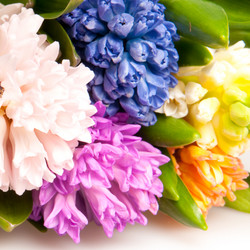 Similar image 1566022