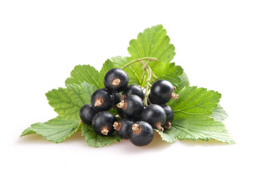 Similar image 1566023