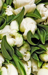 Similar image 1566026