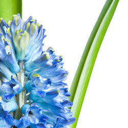 Similar image 1566028