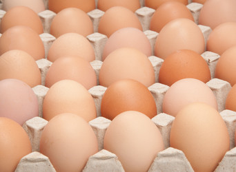 Similar image 1566029