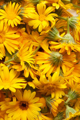 Similar image 1566031