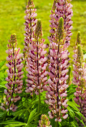 Similar image 1566032