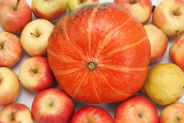 Similar image 1566040