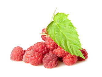 Similar image 1566041