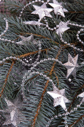 Similar image 1566046