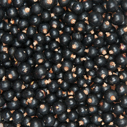 Similar image 1566056