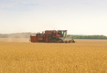 Similar image 1566058