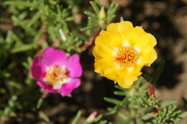 Similar image 1566060