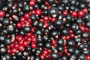 Similar image 1566062