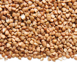 Similar image 1566081