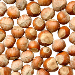 Similar image 1566082