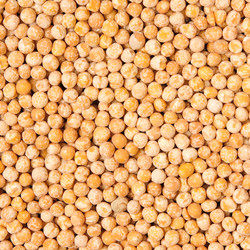 Similar image 1566084