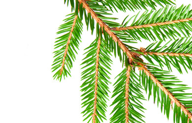 Similar image 1566085