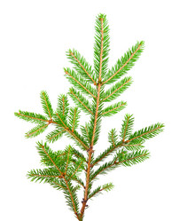 Similar image 1566086