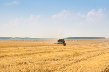 Similar image 1566088