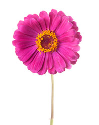 Similar image 1566092