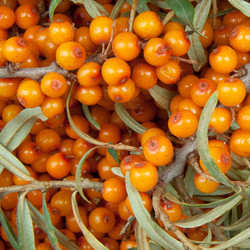 Similar image 1566095