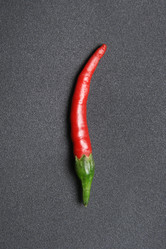 Similar image 1566101