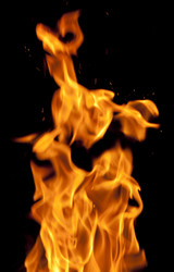 Similar image 1566105