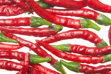 Similar image 1566113