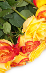 Similar image 1566118