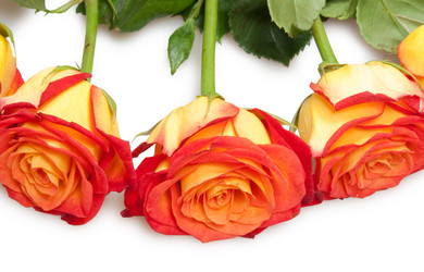 Similar image 1566120