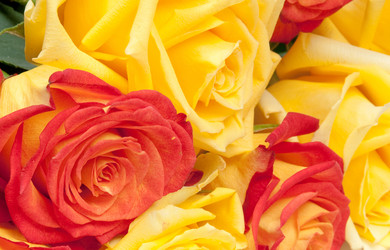 Similar image 1566125