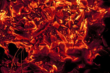 Similar image 1566127