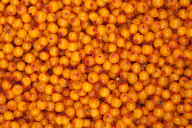 Similar image 1566129