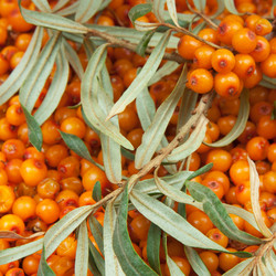 Similar image 1566133