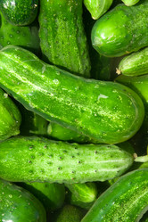 Similar image 1566134