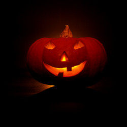 Similar image 1566137