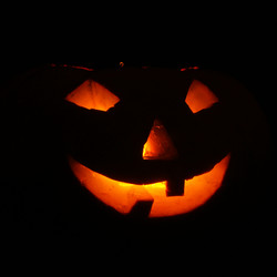 Similar image 1566138