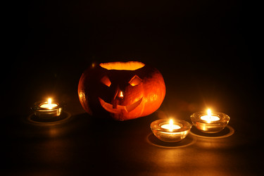 Similar image 1566142