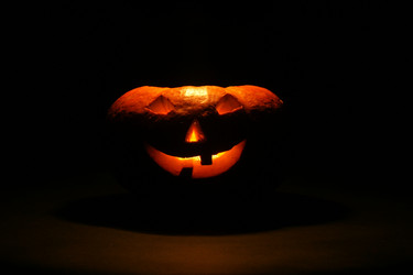 Similar image 1566143