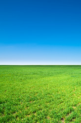 Similar image 1566145