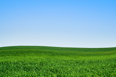 Similar image 1566146