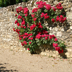 Similar image 1566151