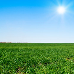 Similar image 1566154