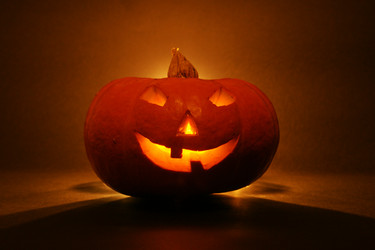 Similar image 1566196