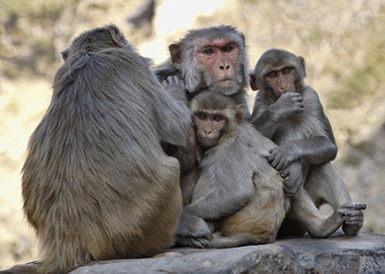 Similar image 1566238