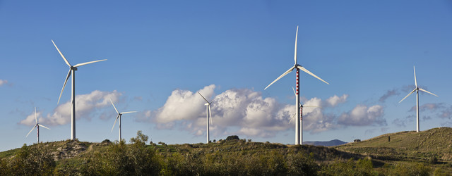 Similar image 1566244