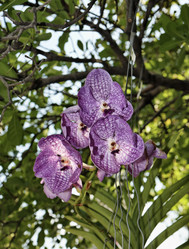 Similar image 1566273