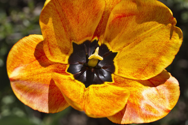 Similar image 1566281