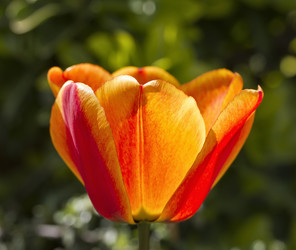 Similar image 1566285