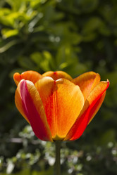 Similar image 1566287