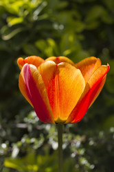 Similar image 1566293